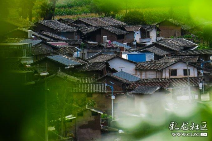 停职!南非执政党处分前总统祖马
